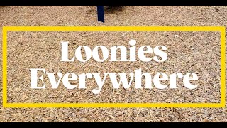 Loonies And A Wizard
