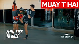Muay Thai Training Series: Feints And Setups | Kick Feints