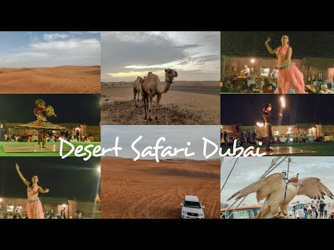 Dubai Desert Safari|Bbq,Camel ride,Falcon experience, Belly Dance,Fire Show, Traditional Dance|UAE