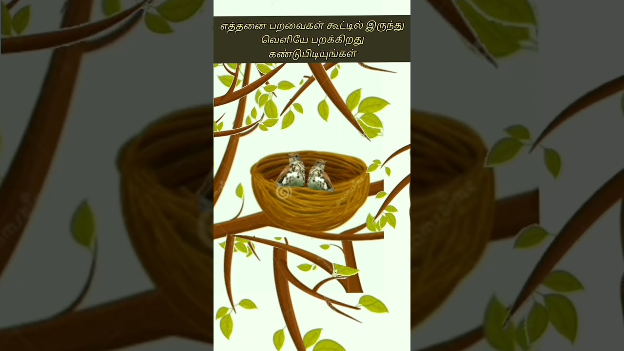 Guess how many birds are flying out of the nest |Picture riddle with answer(Part76)