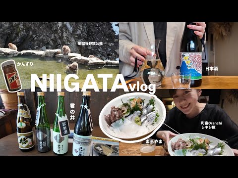 【新潟旅行vlog🍶】古民家に宿泊🏘️ / 酒蔵 / 日本酒メイン🌾 / おさしみ調達 / サル見に行った / 温泉に蕎麦に盛りだくさん🥢 &more..