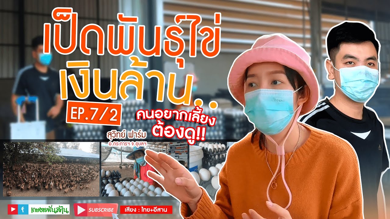 เกษตรพันล้าน Ep.7/2 : เป็ดพันธุ์ไข่เงินล้าน สุวิทย์ ฟาร์ม ฟาร์มใหญ่ที่สุดใน อุบลฯ