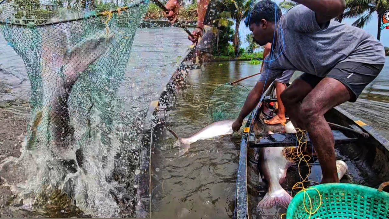 പുഴയിൽ എത്തിയ മോൺസ്റ്ററെ ഉഴുന്നുവടയിട്ട് തളച്ചപ്പോൾ |Earth Lovers Media|Real Life Vlog