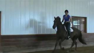 Ruby Canter Left 5-17-17