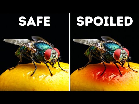 ผลสลากกินแบ่งรัฐบาล วันที่ 1 พย. 2567