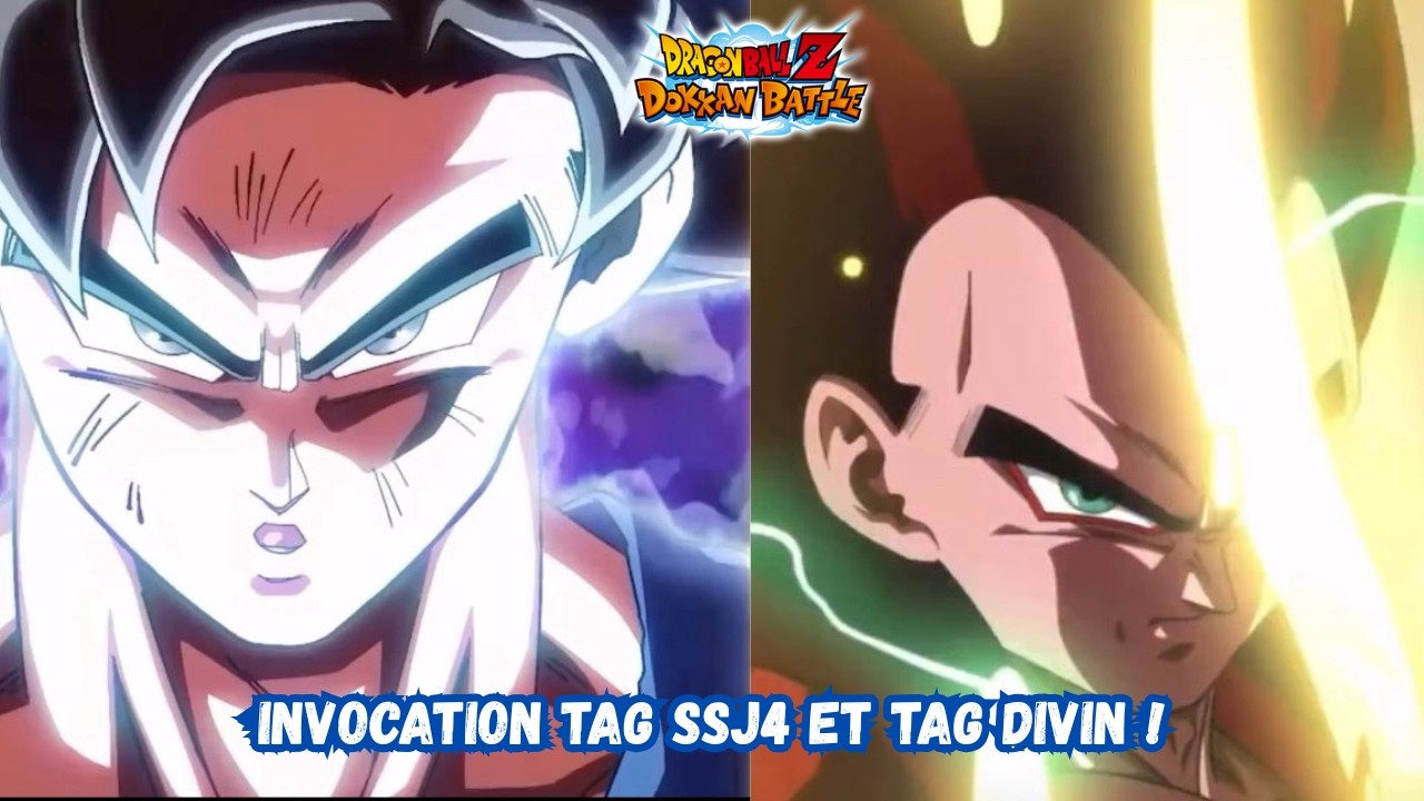 Les limites de la passion ont été pulvérisé ! Invocation TAG SSJ4 et TAG DIVIN ! Dokkan Battle !