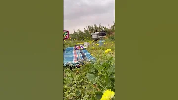 ياليت روحي على روحك تذوب وتلين 