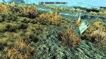 Skyrim: SPAAAAAAAAAAAAAAAAAAAAAACE (mod)