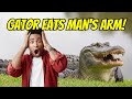 Gator Eats Man&#39;s Arm