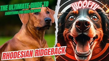 The Ultimate Guide to Rhodesian Ridgeback: Everything You Need to Know