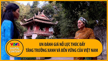 UN đánh giá nỗ lực thúc đẩy tăng trưởng xanh và bền vững của Việt Nam | VTV4