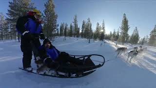 Kutyaszánozás Lappföldön Dog sledding in Lapland