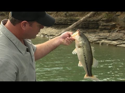 Southern Woods and Waters: Dale Hollow fishing with Bobby Gentry