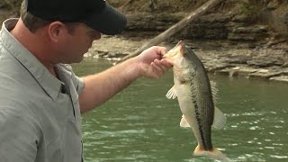 Dale Hollow Lake Spring Bass Fishing