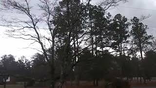 Heavy rain and gusty winds in Elizabethtown, NC  -  January 4, 2023