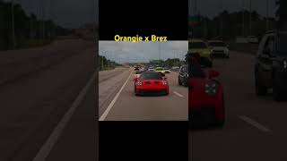 Orangie might just be a professional LARPER! #vlog #orangie #brezscales #miami