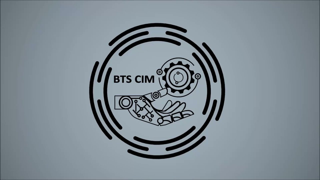 Présentation BTS-CIM