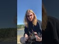 Tombstone Junction Blues #bluegrass #mandolin #musician