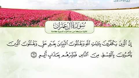 سورة ال عمران 1 الى 45