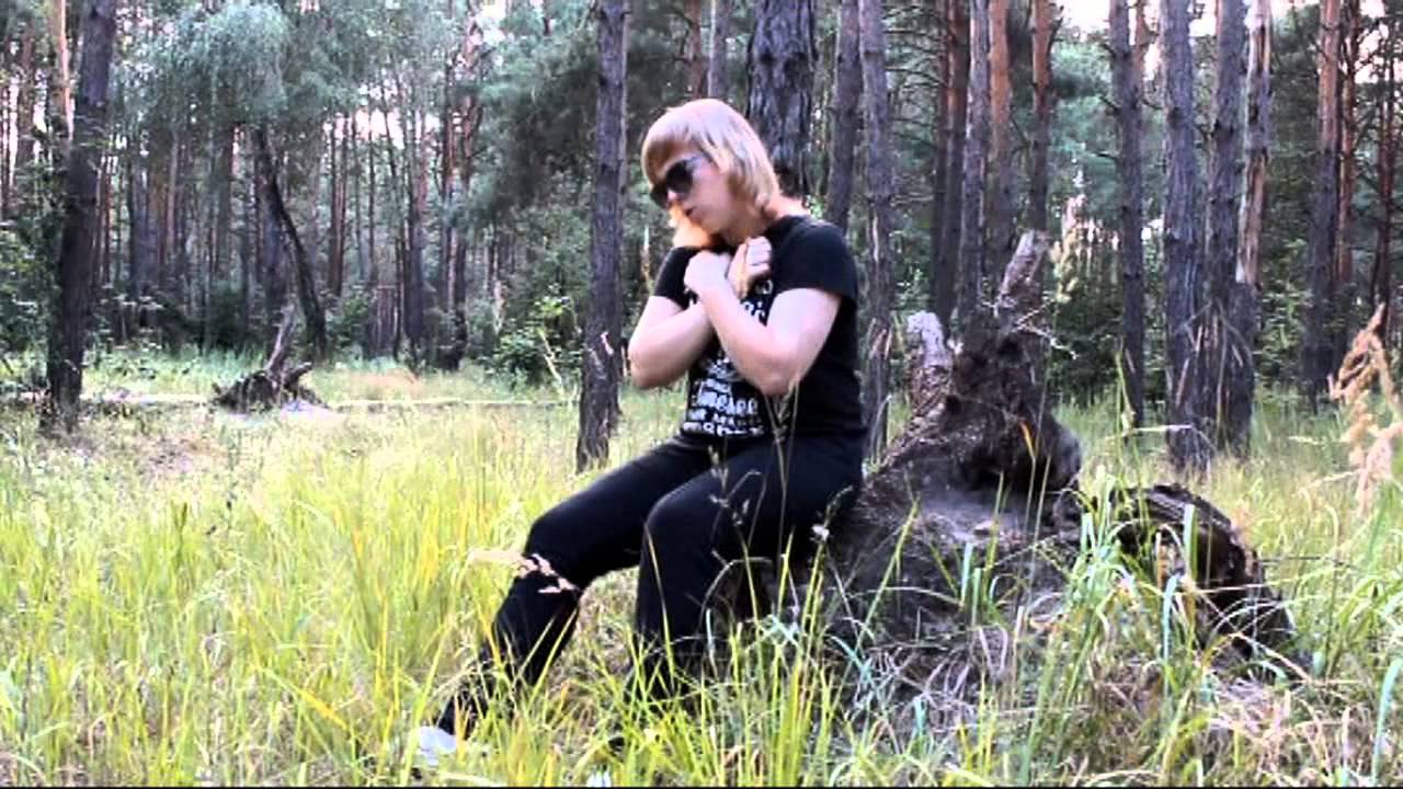 Ylvis - What does the fox say (Пародия/Parody/Remake) Music Video HD