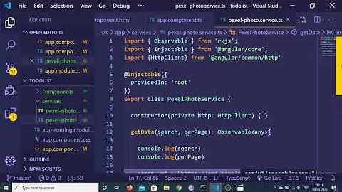 Angular 9 Pexel API Photo Search App Full Project