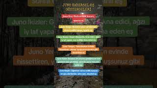 Juno Kadersel Eş Göstergeleri Şfet Çlar