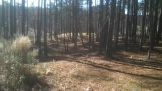 Don't Overlook This Lovely New Land Listing In Greensbo