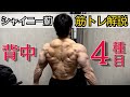 【増量期】2ヶ月やりこんでる、背中のメニュー4種目の解説