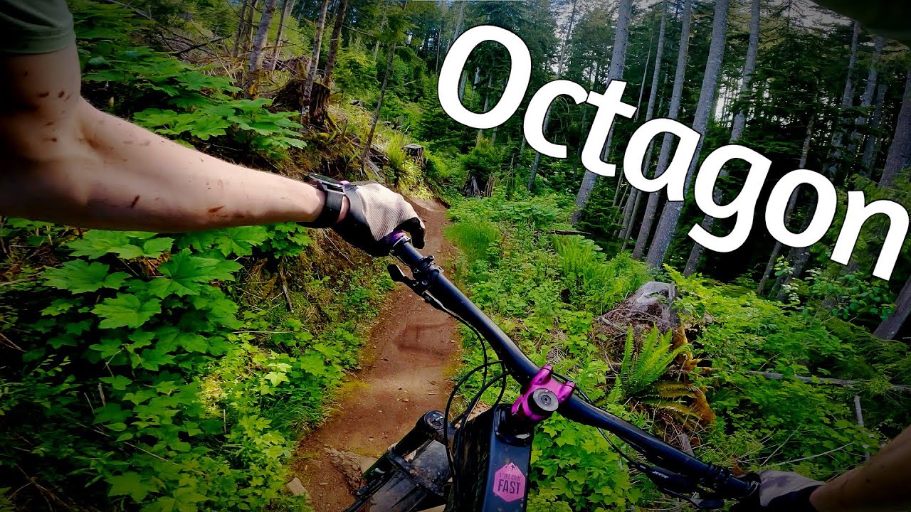 Octagon - Capitol Forest MTB