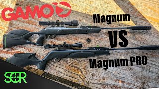 New Gamo Magnum Pro .22 Vs Gamo Magnum .22