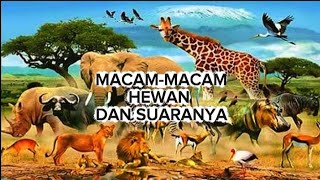 Suara Hewan untuk anak-anak | Ensiklopedia Hewan