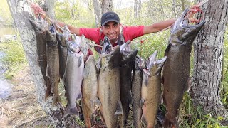 Pesca Y cocina De Salmon Gigantes 2020 Video #1