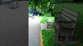#london #streets #nice #day #shortvideo #travel #relax #time #england #lifeisbutadream