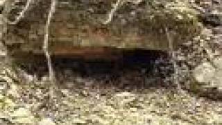 Becky Sutton Murder - Crime Scene Info