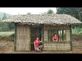 Country Girl Builds Her Own Bamboo Farm In The Wild - Survival - Farm | Ly Tieu Duyen