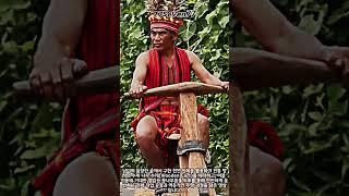 Craftsmanship Behind South American Wooden Carts #workflow #backend #craftsmanship #education