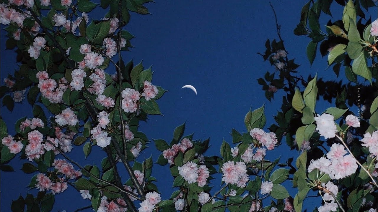 [🧜🏻‍♀️] sứ mệnh của bạn là gì?