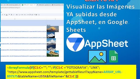 Cómo Visualizar las Imágenes YA subidas desde AppSheet, en Google Sheets - Formulas en Google Sheets