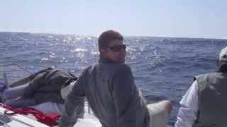 2011 Newport to Cabo Race