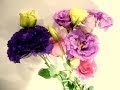 トルコキキョウの花言葉、特徴、使い方、テクニックをトッププロが丁寧に教えます～I teach you about Eustomas