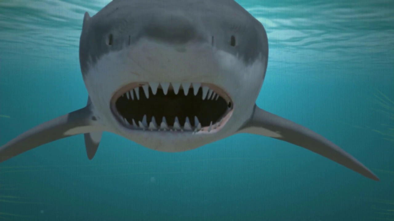 Road Sharks Race for the Tacos Ride YouTube