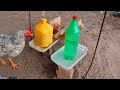 An Easy Way To Make Automatic Chicken Feeders And Drinkers For Your Laying Hens!