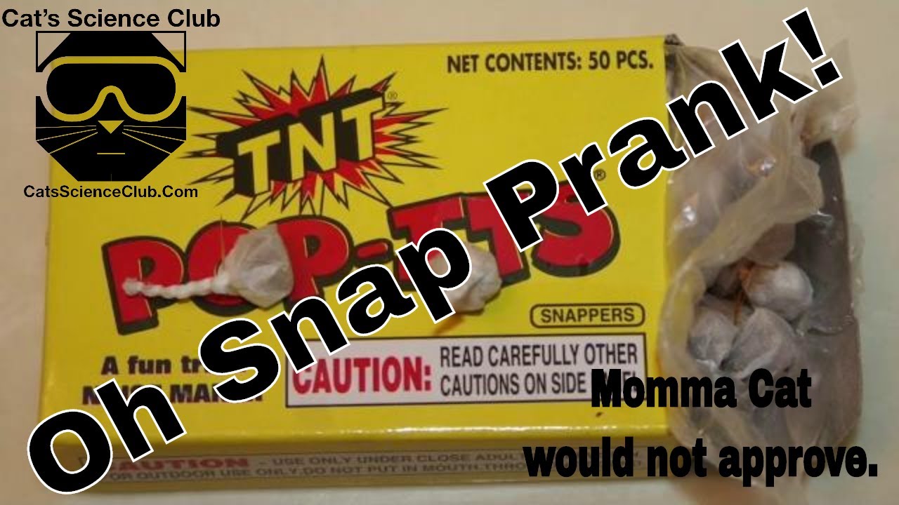 after school program assistant interview questions Easy prank for kids - Oh Snap!