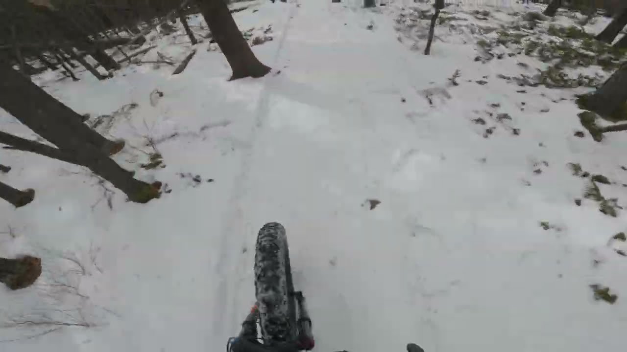 MMBTS & Insideline winter fiver on "Ushoulda", Moose Mountain!  (Race lap POV)