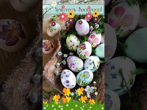 СО СВЕТЛЫМ ПРАЗДНИКОМ ПАСХИ!🐤🐣🥚#спасхой #сосветлойпасхой #поздравления