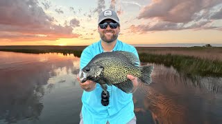 My Best Day Of Crappie Fishing! (GIANTS!!!)