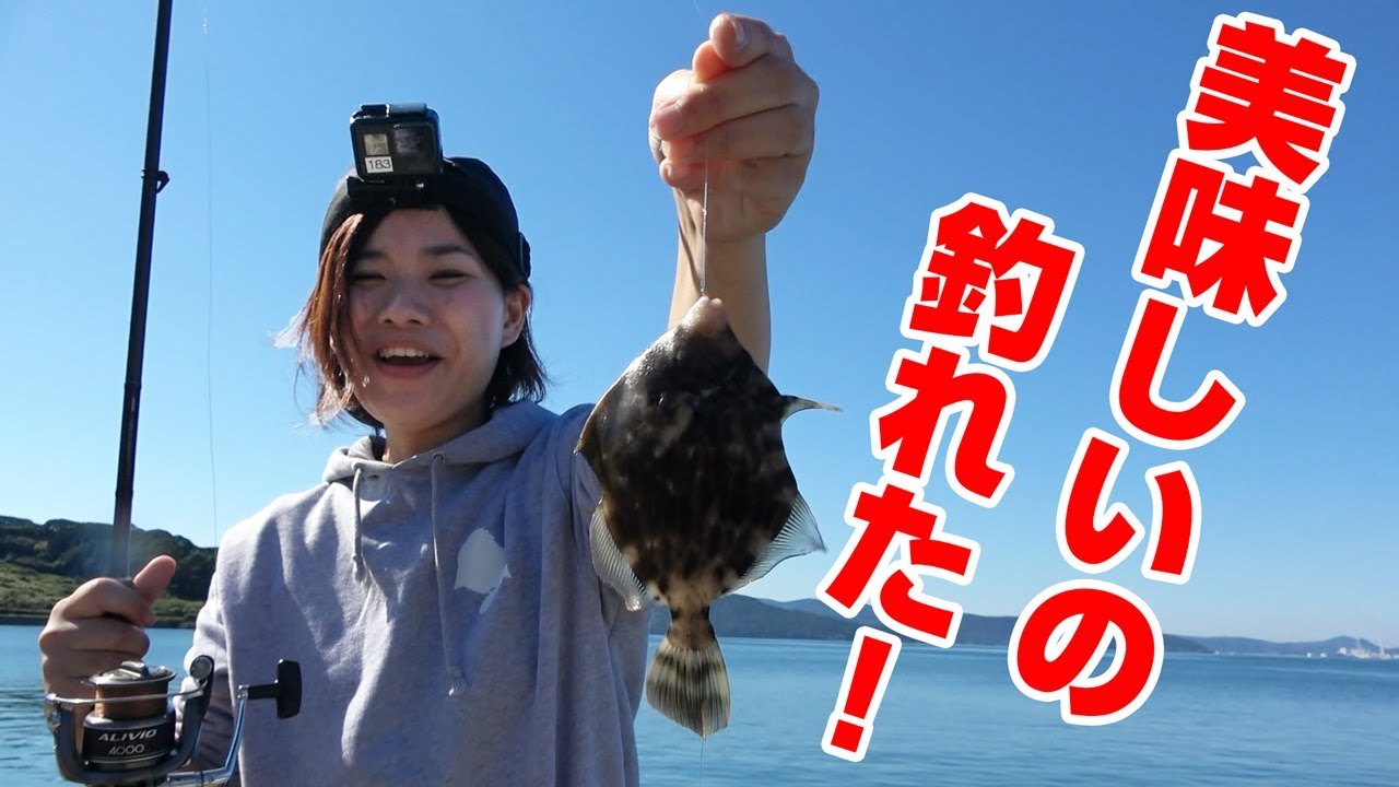 トップ100 釣りいろは けいこ すべての魚の画像