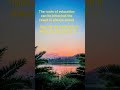 #trending #trend #trendingshorts #motivation #motivationalquotes