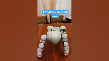 Push ups by Robot