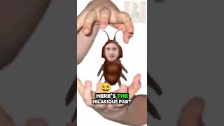 The SHOCKING Reason Cockroaches Outlive Us All… Wealth